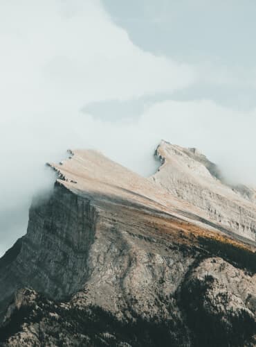 Podrška i Ušteda Troškova